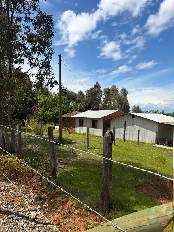 Parcela + casa + bodega en Cauquenes — foto 16