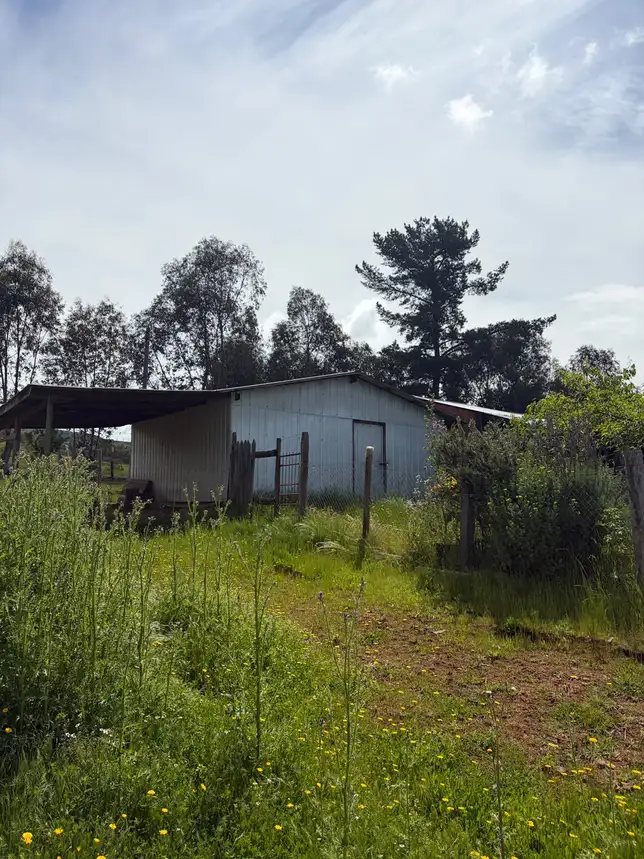 Parcela + casa + bodega en Cauquenes — foto 14