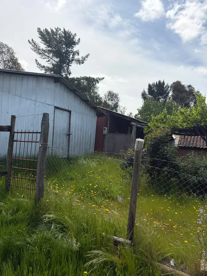 Parcela + casa + bodega en Cauquenes — foto 13