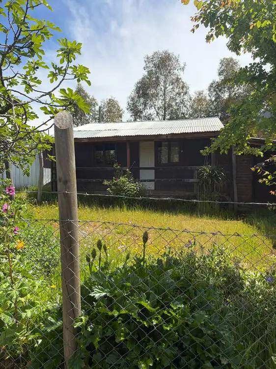 Parcela + casa + bodega en Cauquenes — foto 11