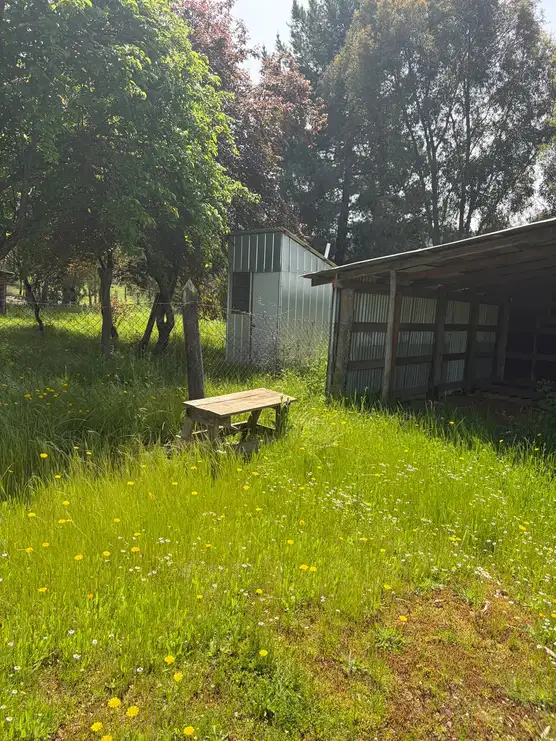 Parcela + casa + bodega en Cauquenes — foto 8