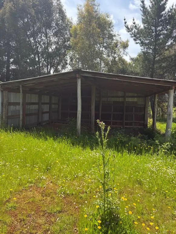 Parcela + casa + bodega en Cauquenes — foto 9