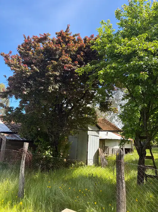 Parcela + casa + bodega en Cauquenes — foto 10