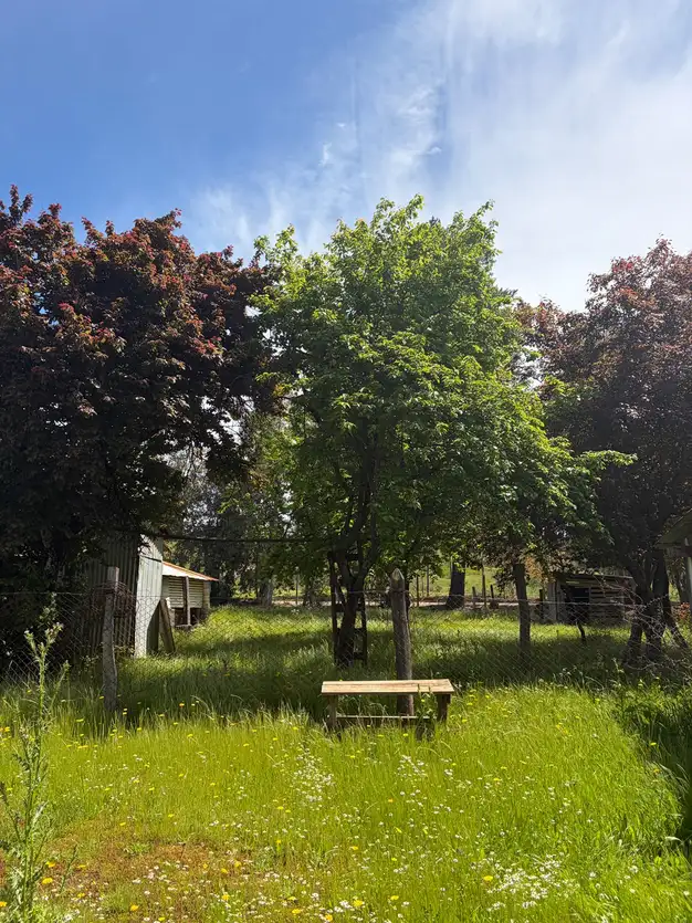 Parcela + casa + bodega en Cauquenes — foto 6