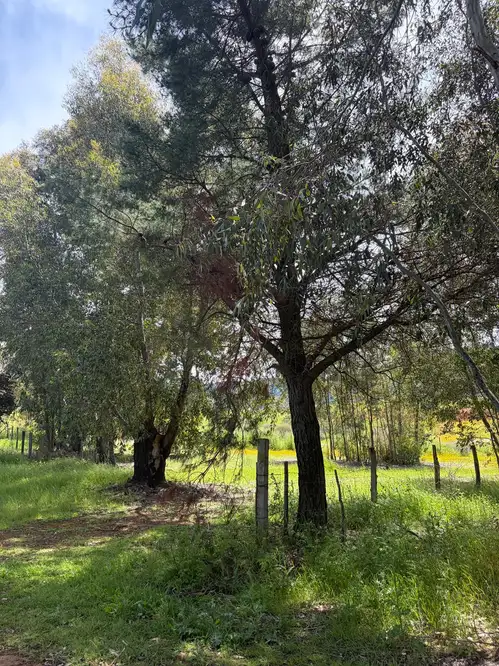 Parcela + casa + bodega en Cauquenes — foto 7
