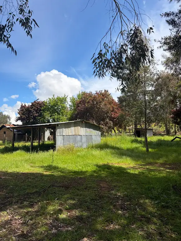 Parcela + casa + bodega en Cauquenes — foto 5