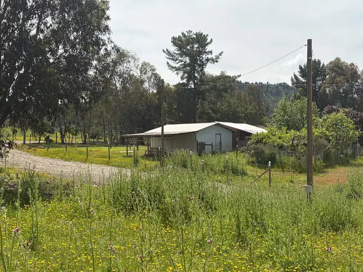 Parcela + casa + bodega en Cauquenes