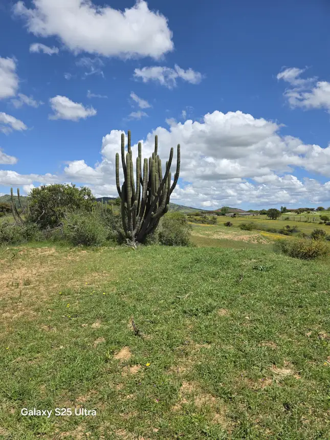 Vistas de Marchigue — foto 10