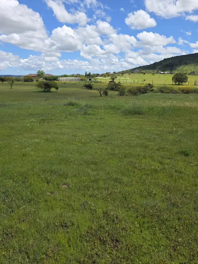 Vistas de Marchigue — foto 11