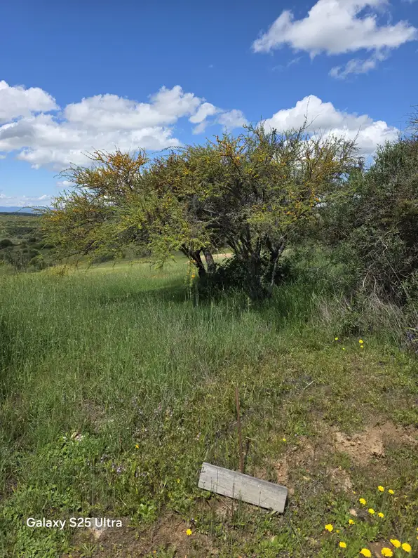 Vistas de Marchigue — foto 7
