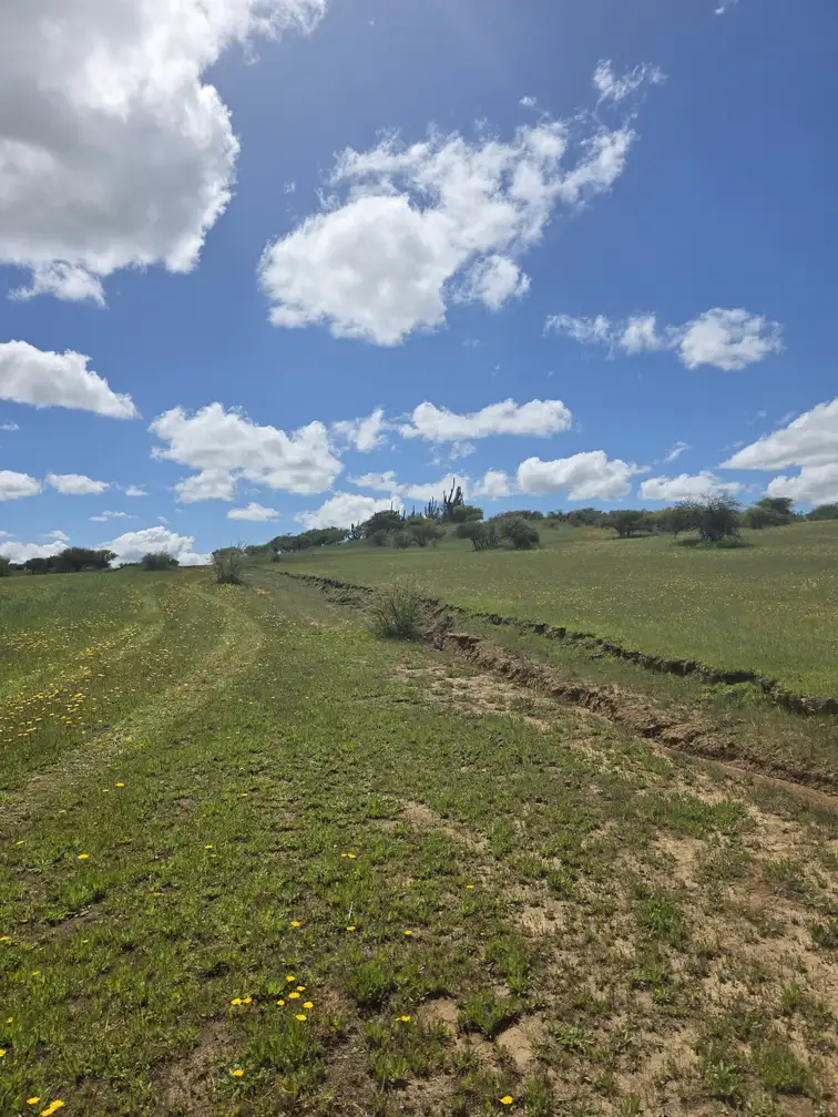 Vistas de Marchigue — foto 6