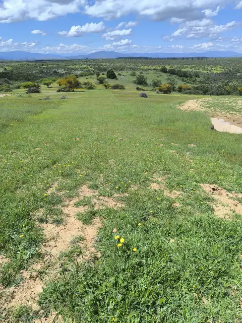 Vistas de Marchigue
