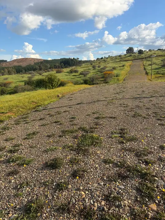Altos de Coronelo (Cauquenes) — foto 9
