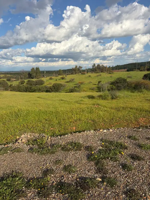 Altos de Coronelo (Cauquenes) — foto 8