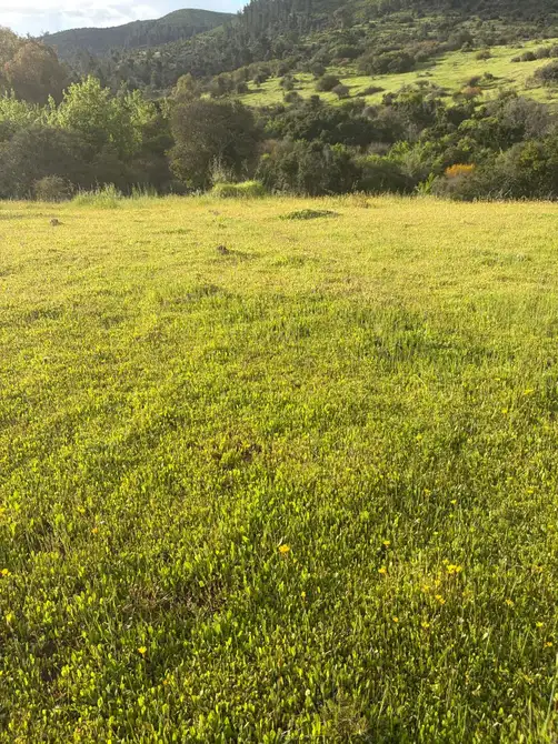 Altos de Coronelo (Cauquenes) — foto 7