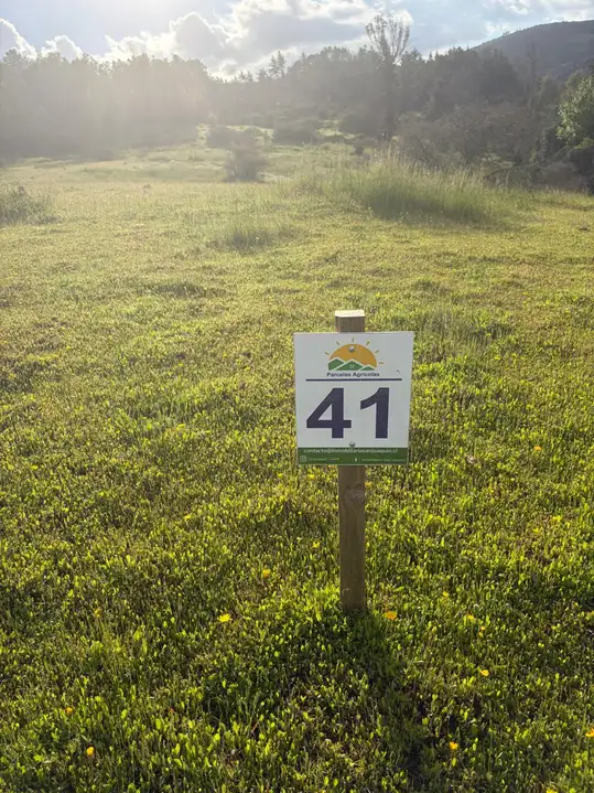 Altos de Coronelo (Cauquenes) — foto 5