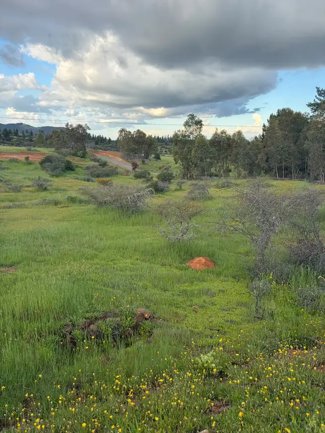 Altos de Coronelo (Cauquenes) — foto 11