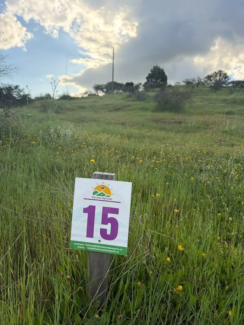 Altos de Coronelo (Cauquenes) — foto 15