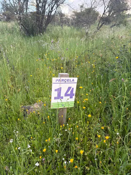 Altos de Coronelo (Cauquenes) — foto 16