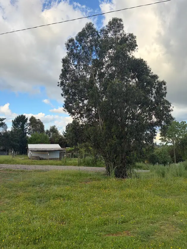 Altos de Coronelo (Cauquenes) — foto 17
