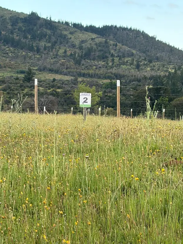 Altos de Coronelo (Cauquenes) — foto 18