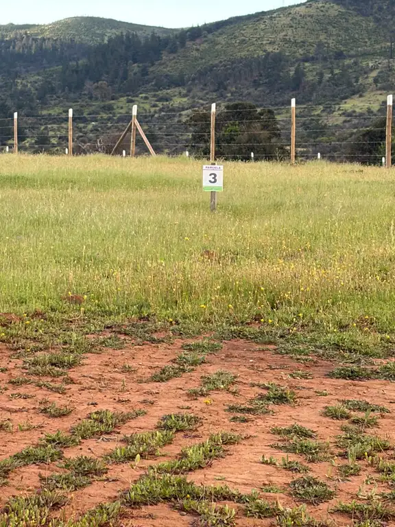 Altos de Coronelo (Cauquenes) — foto 19