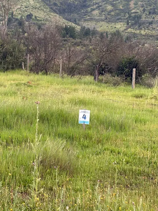 Altos de Coronelo (Cauquenes) — foto 20
