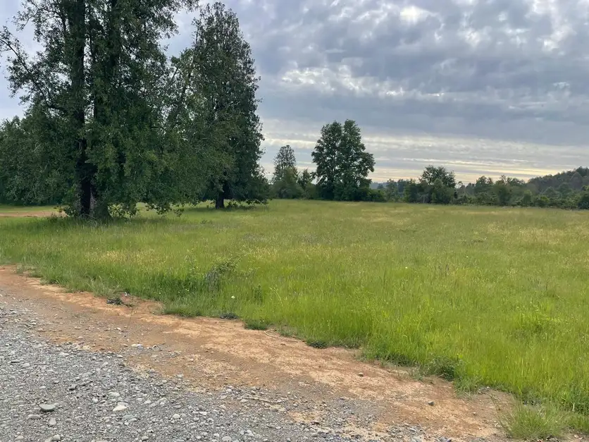 Praderas de Villarrica — foto 6