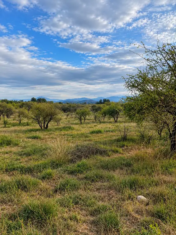 San jose de Marchigüe — foto 6